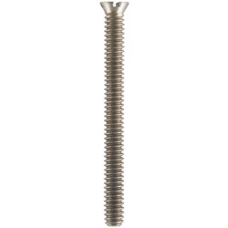 Occlusal screw