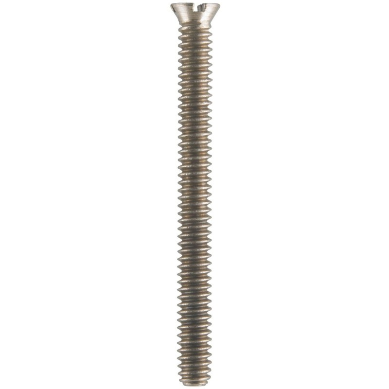 Occlusal screw