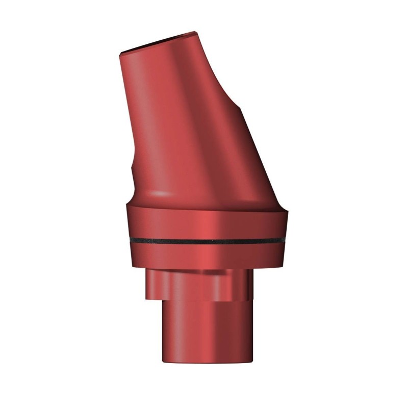 Plan abutm angl16°Type2D6