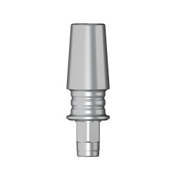 POC Abutment D 3