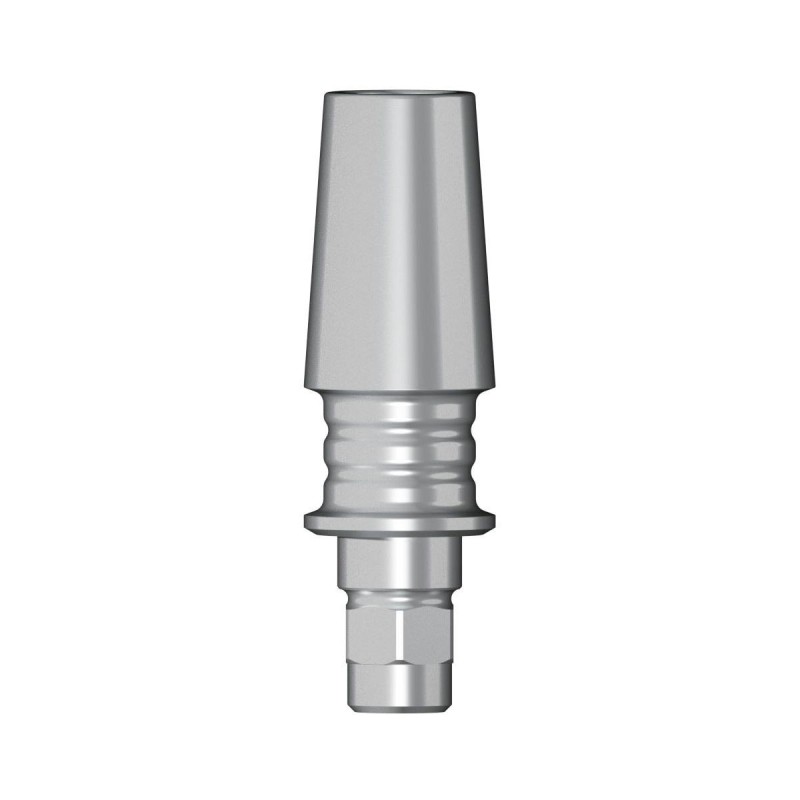 POC Abutment D 3