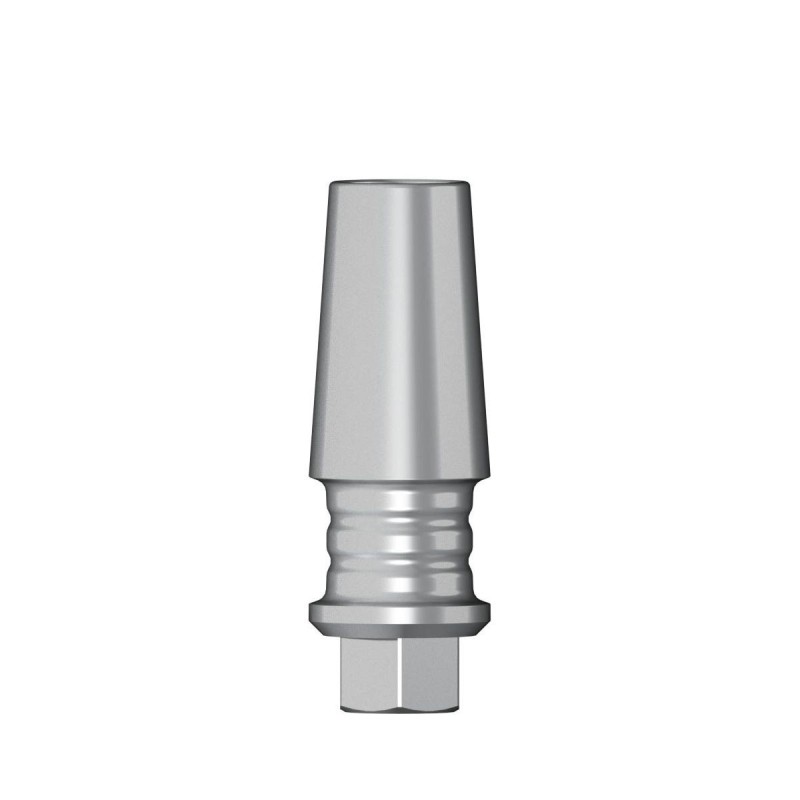 POC Abutment D 3