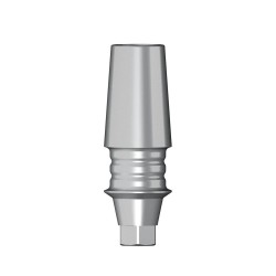 POC Abutment D 3