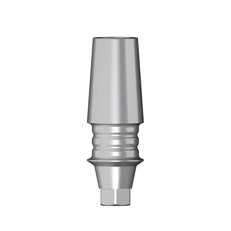 POC Abutment D 3