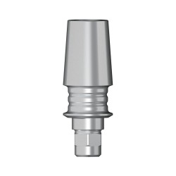 POC Abutment D 3