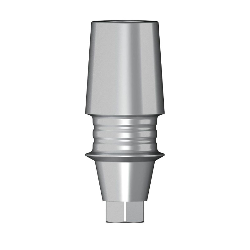 POC Abutment D 4