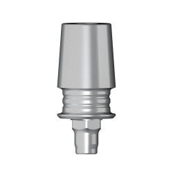 POC Abutment D 5