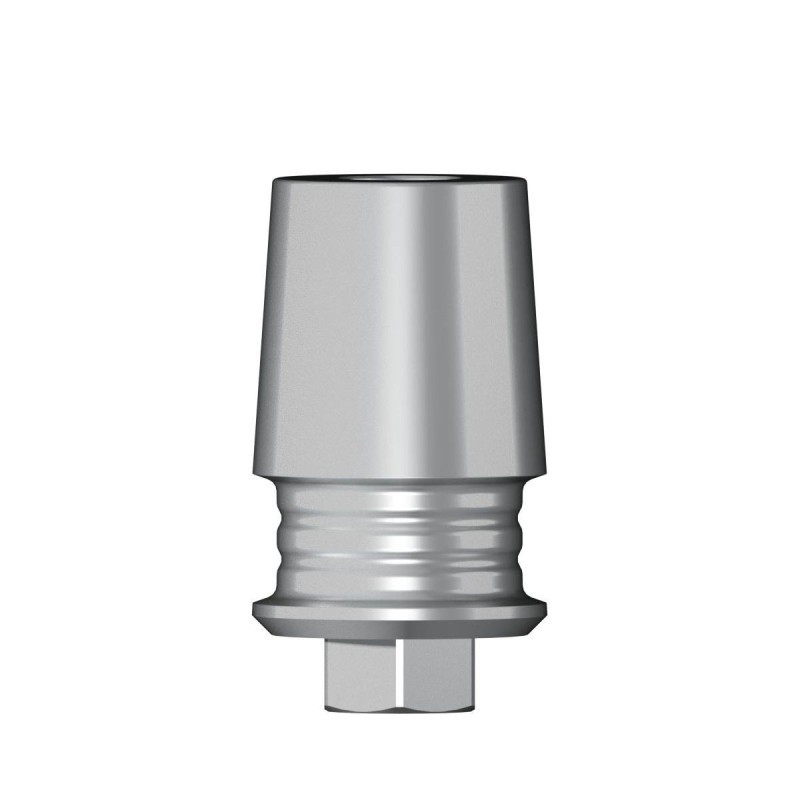 POC Abutment D 5