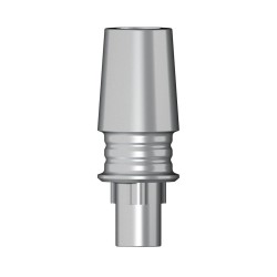 POC Abutment RP 4