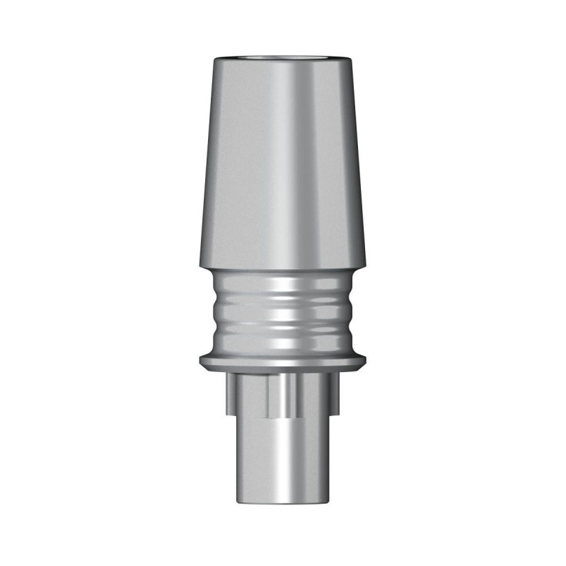 POC Abutment RP 4