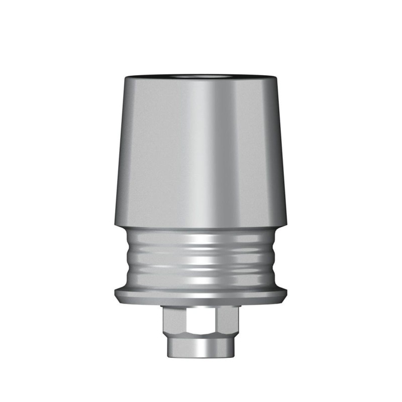 POC Abutment WN 6