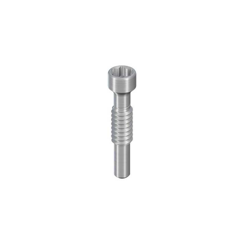 RB/WB Abutment-Removal Screw