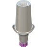 RB/WB Anatomic Abutment