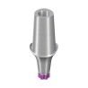 RB/WB Anatomic Abutment