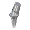 RC Anatomic Abutment