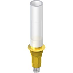 RC Gold Abutment