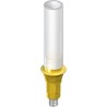 RC Gold Abutment
