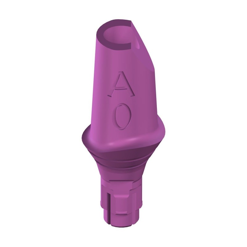 RC PLAN Anatomic Abt.