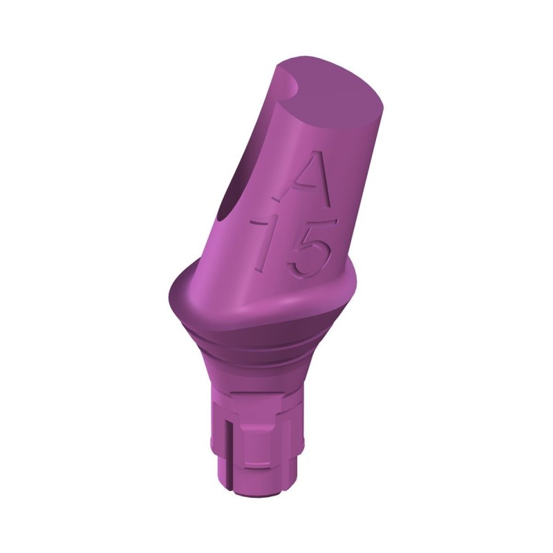 RC PLAN Anatomic Abt.