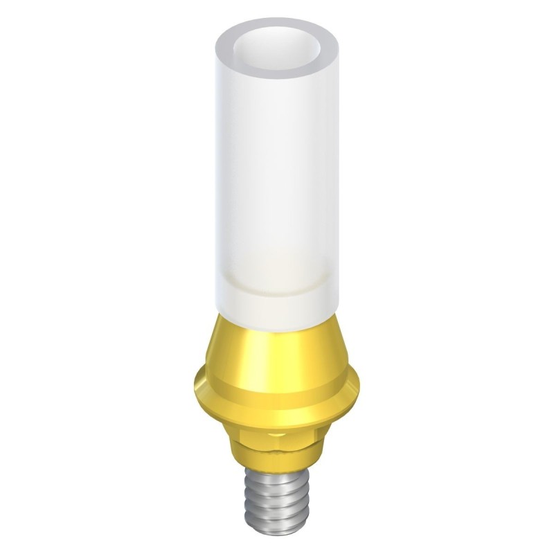 RN synOcta Gold abutment