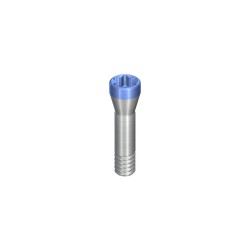 SC Basal Screw B