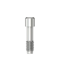 Scanbody retention screw Hex 1