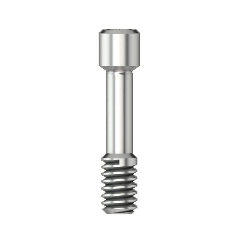 Scanbody retention screw Hex 1