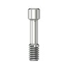 Scanbody retention screw Hex 1