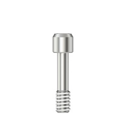 Scanbody screw Hex 1