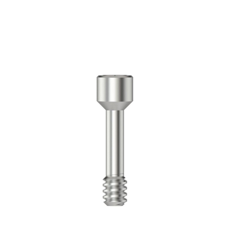 Scanbody screw Hex 1