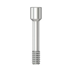 Scanbody screw Hex 1