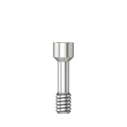 Scanbody screw Hex 1
