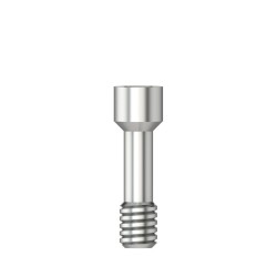 Scanbody screw Hex 1