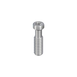 SCS occlusal screw