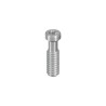 SCS occlusal screw
