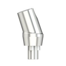 Solid abutm angled 18°Type1 WP 5