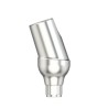 Solid abutm angled18°Type2RP4