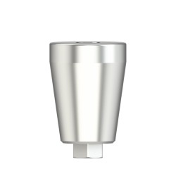 Solid abutment straight D 5