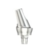 Standard abutm angl18°Type1D5