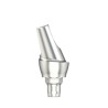Standard abutm angl18°Type2D4