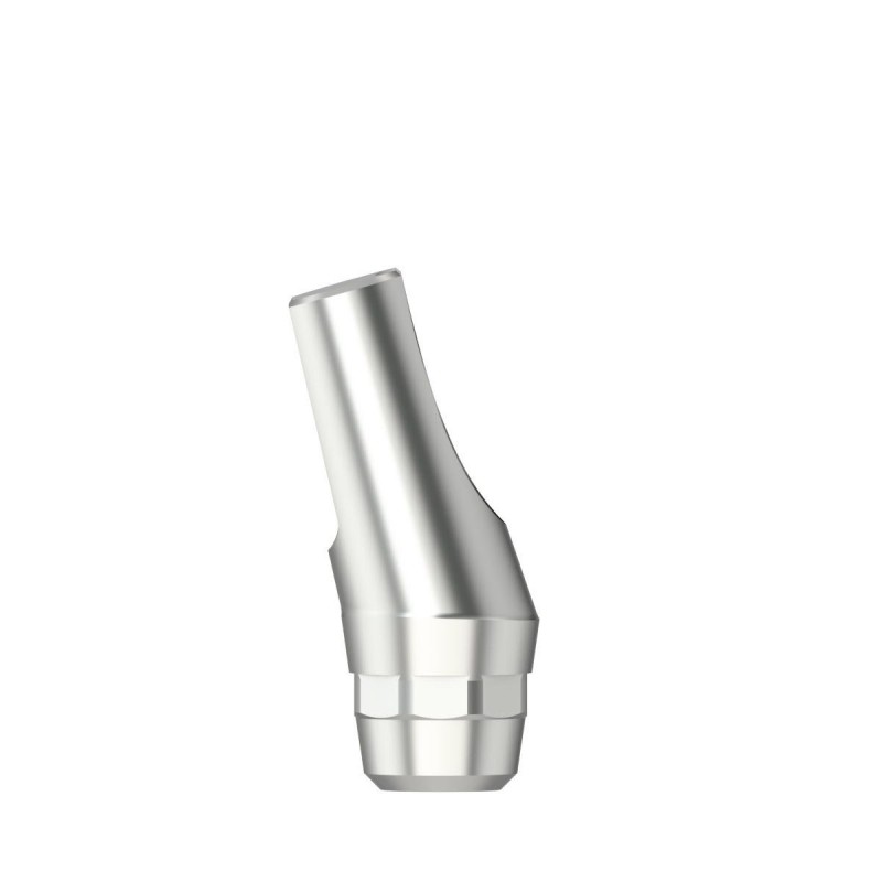 Standard abutm angled 16° Type 1 RN 4