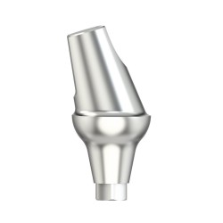 Standard abutm angled 16°D4