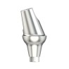 Standard abutm angled 16°D4