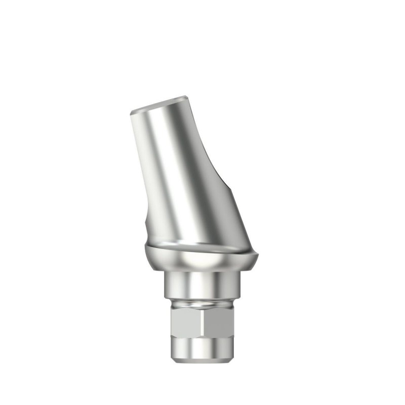 Standard abutm angled 16°Type1D3