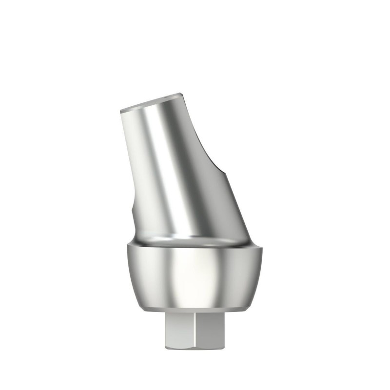 Standard abutm angled 16°Type1D4