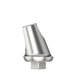 Standard abutm angled 16°Type1D5