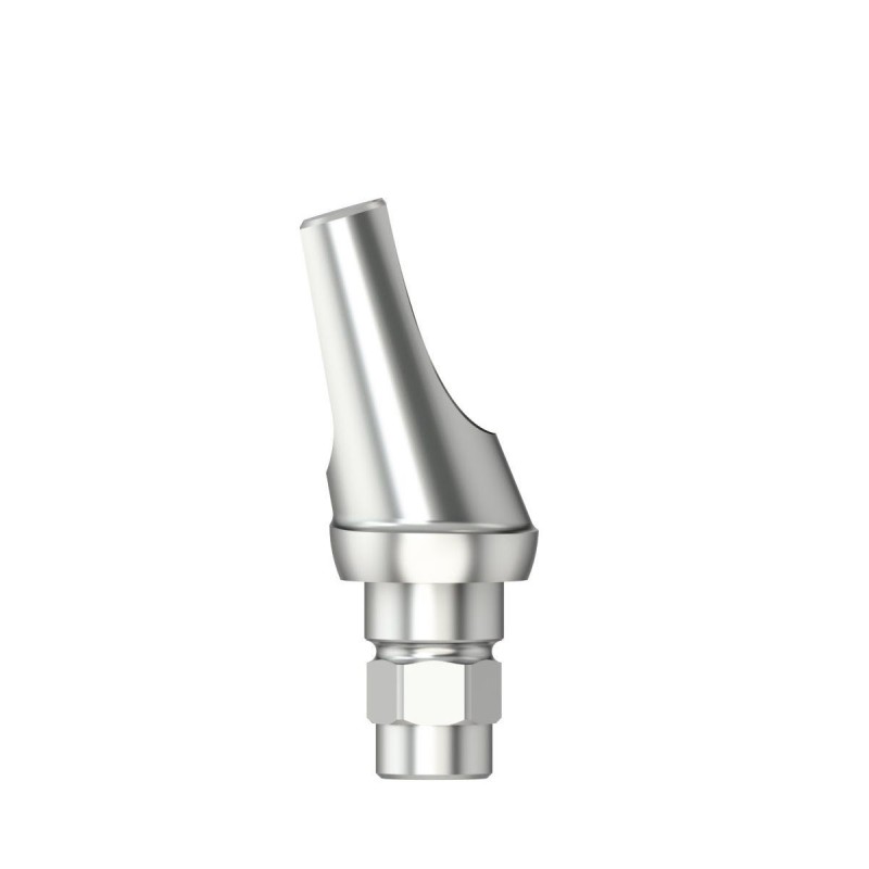 Standard abutm angled 16°Type2D3