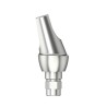 Standard abutm angled 16°Type2D3