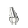 Standard abutm angled 16°Type2D4