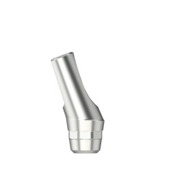 Standard abutm angled 21° Type 1 RN 4